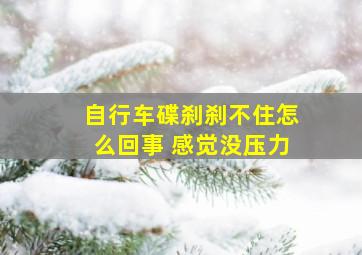 自行车碟刹刹不住怎么回事 感觉没压力